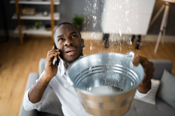 Best Flooded house restoration  in Ridge, NY