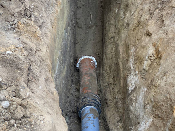 Best Local water damage restoration  in Ridge, NY