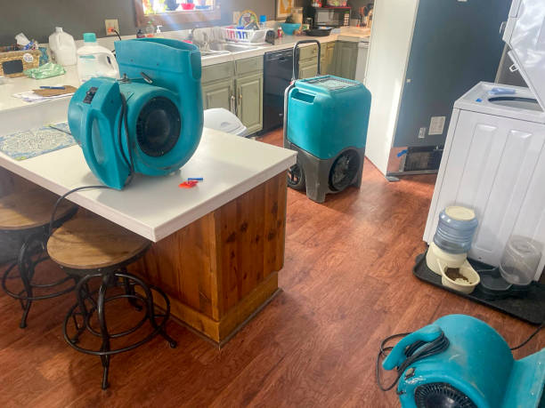 Best Water damage contractors near me  in Ridge, NY