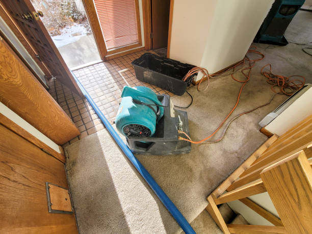 Best Fire Damage Restoration  in Ridge, NY