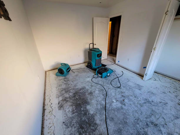 Reliable Ridge, NY Water damage restoration Solutions