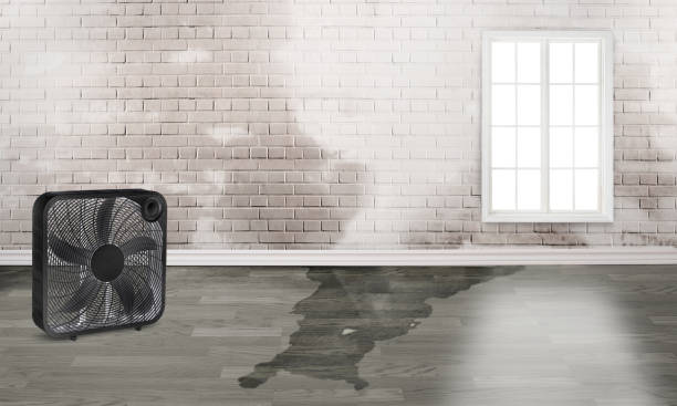 Best Flood restoration services  in Ridge, NY