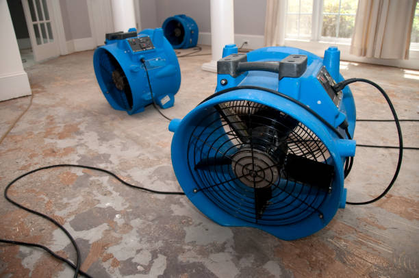 Best Basement water damage restoration  in Ridge, NY