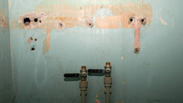 Best Basement water damage restoration  in Ridge, NY