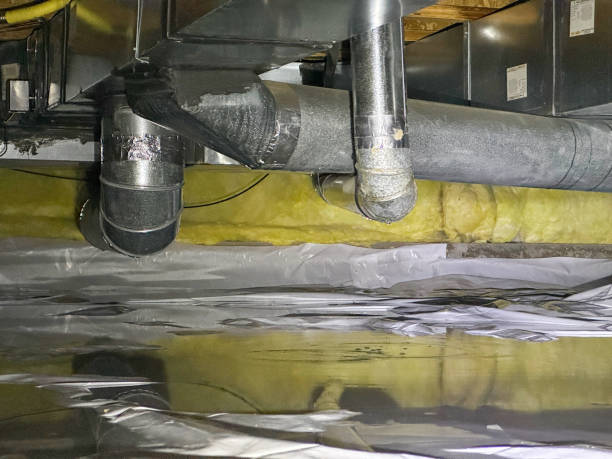 Best Sewage cleanup and water damage restoration  in Ridge, NY