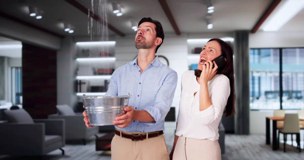 Best Residential water damage restoration  in Ridge, NY